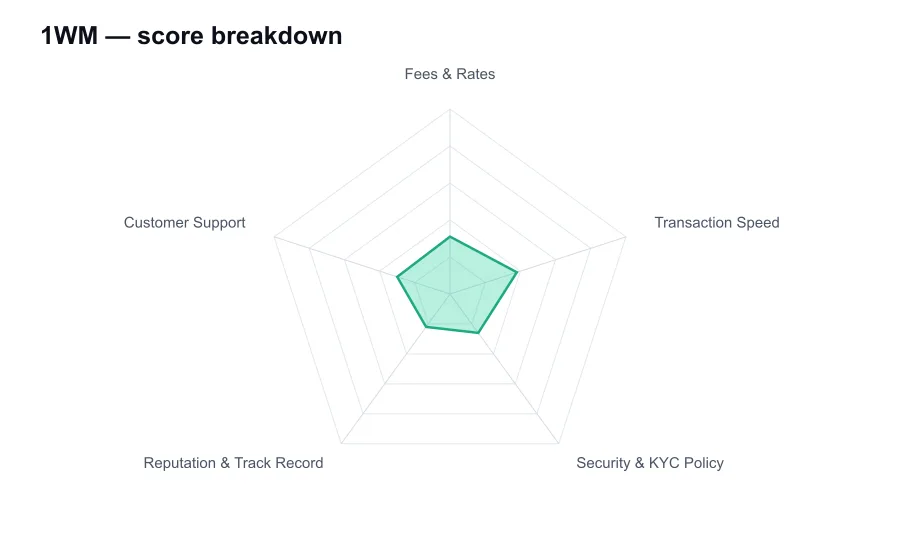 1WM score breakdown by criterion, shown as a radar chart