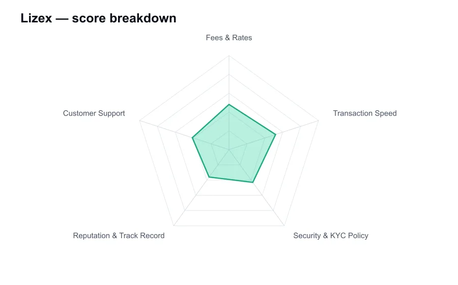 Lizex score breakdown by criterion, shown as a radar chart