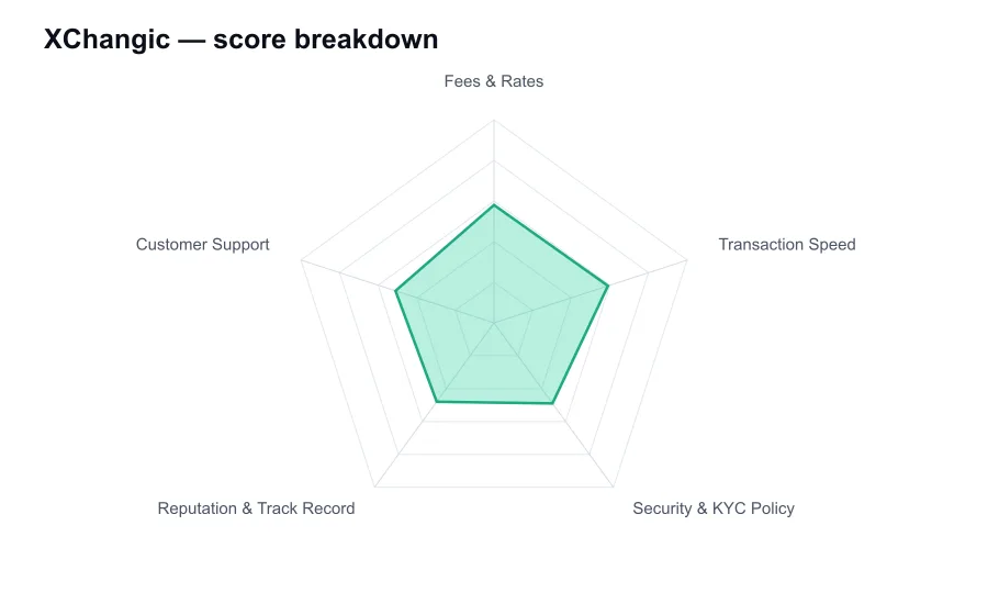 XChangic score breakdown by criterion, shown as a radar chart