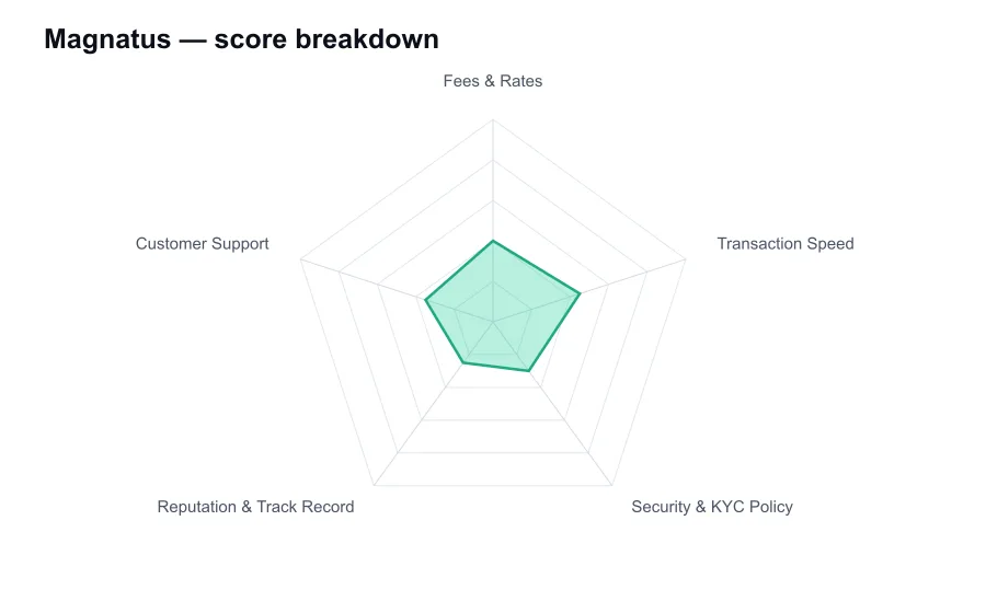 Magnatus score breakdown by criterion, shown as a radar chart